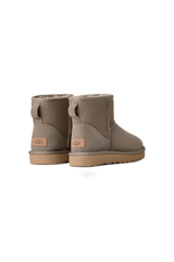 Cozy Sheepskin Mini Boots