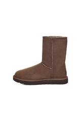 Cozy Sheepskin Short Boots