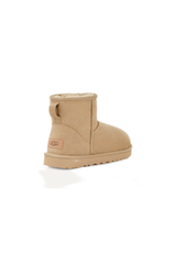 Cozy Sheepskin Mini Boots
